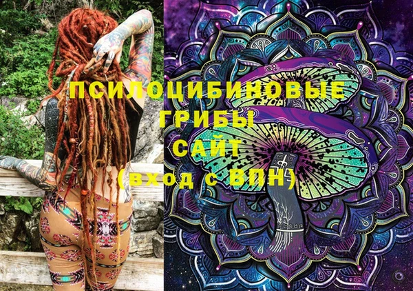 PSILOCYBIN Богданович