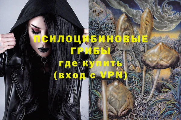 амфетамин Белокуриха