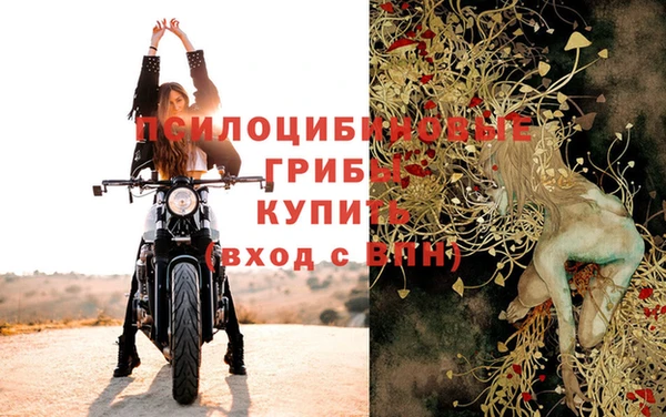 амфетамин Белокуриха